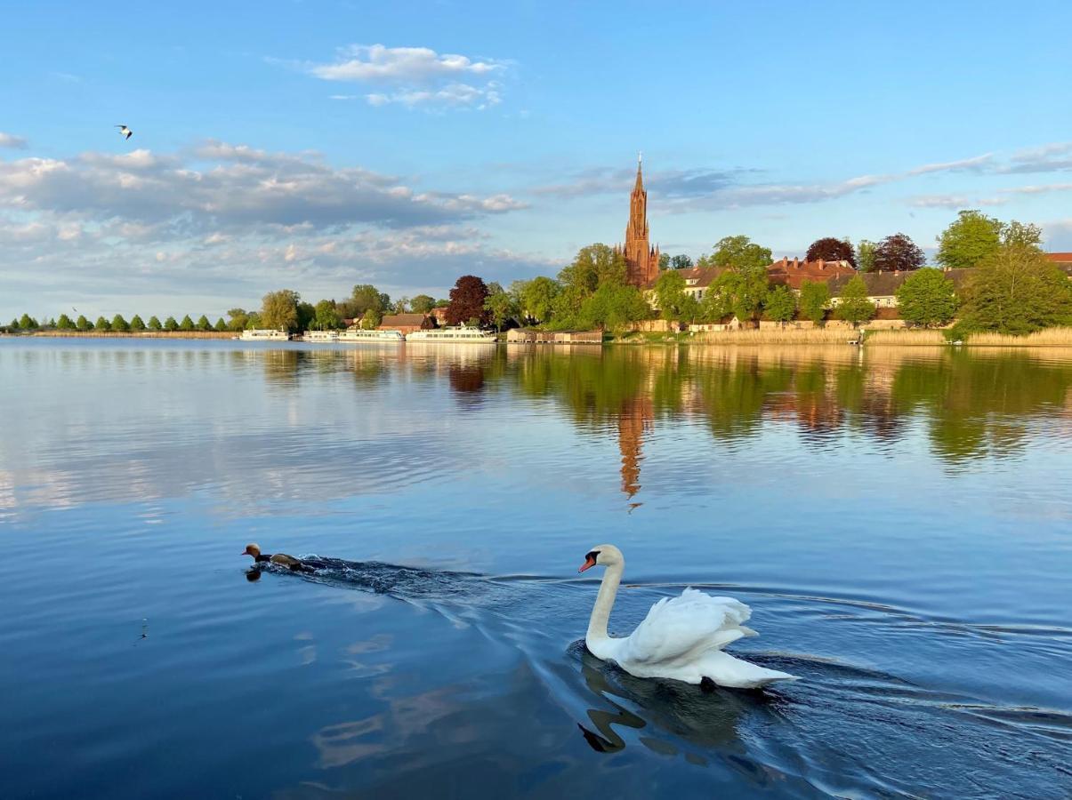 Ferienhaus Malchow See 7751 エクステリア 写真