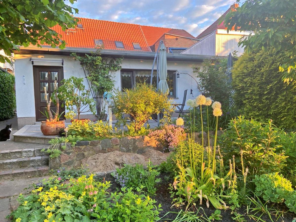 Ferienhaus Malchow See 7751 エクステリア 写真